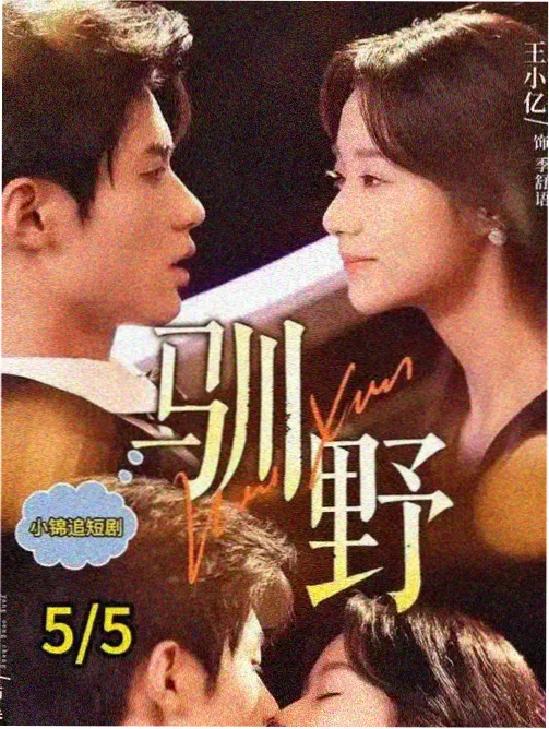 狂飙 91视频观看 电视剧